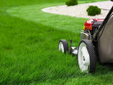 Lawn-Mower  MK JIM Cleaning Service
