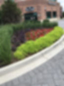 13680898_1217168541649051_98447454714865444_n