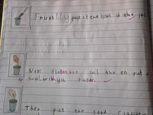 Year 1 Writing