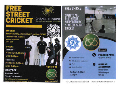 Free Street Cricket