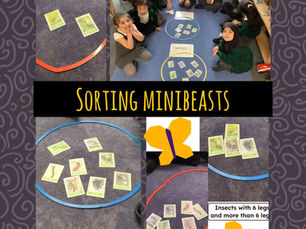 Minibeasts