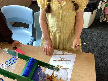 Year 1 Maths - Comparing Mass ⚖️