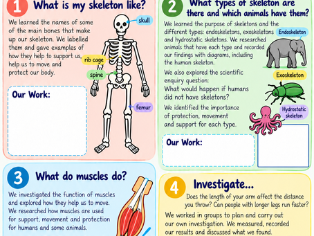 Science in Year 3