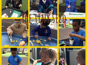 Reception - The Tiny Seed