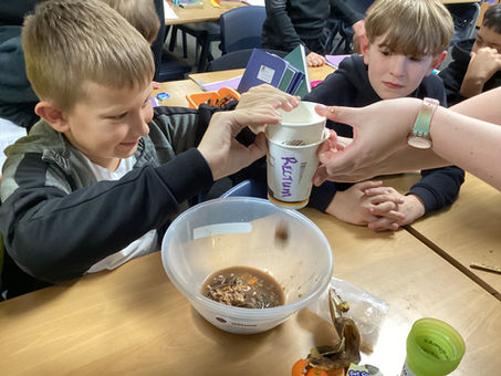 Year 6 - The Digestive System