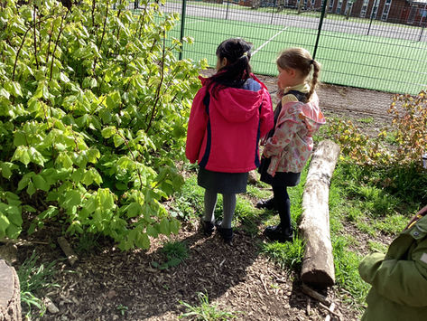 Reception F Ingredient Hunt