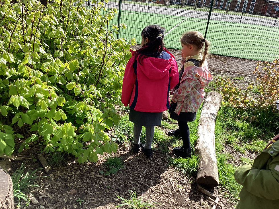 Reception F Ingredient Hunt