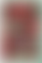 3RF - Christmas Jumpers!