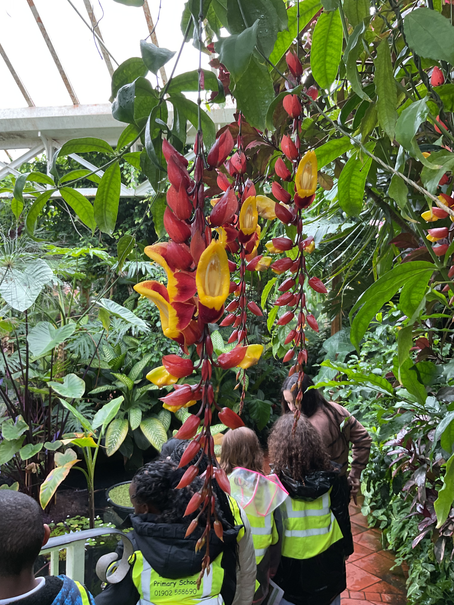Birmingham Botanical Gardens