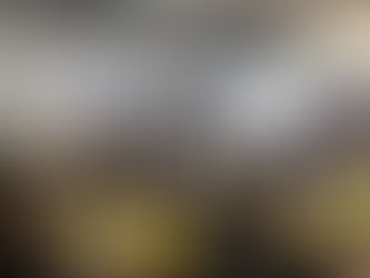 Egg-stravagant Eggs in Year 6