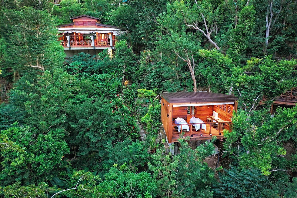Two wooden cabins surrounded by lush green forest, one with open windows and chairs. Serene, natural setting with no visible people.