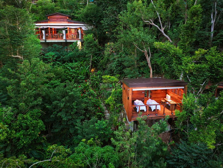 Two wooden cabins surrounded by lush green forest, one with open windows and chairs. Serene, natural setting with no visible people.