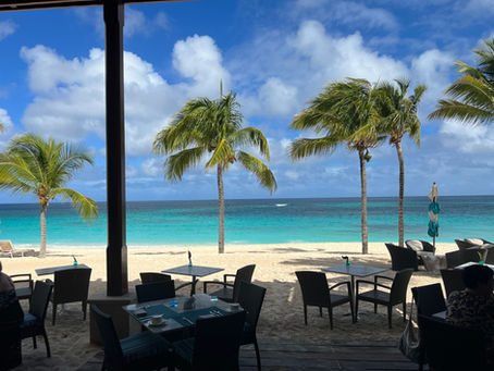 Beachfront restaurant tables under palm trees overlook turquoise water and cloudy blue sky, calm and tropical.