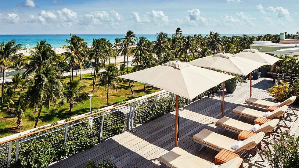Rooftop terrace with sun loungers and umbrellas overlooking a beach with palm trees and ocean. Clear sky, lush greenery, and relaxed mood.