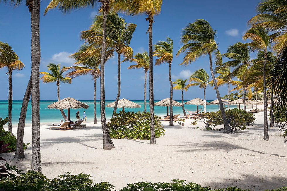 Tropical beach with palm trees, thatched umbrellas, and lounge chairs. Two people walking on white sand. Clear turquoise sea under blue sky.