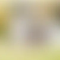 White cottage with green roof and red trim, surrounded by autumn trees and a white picket fence. Bright and cheerful fall scene.