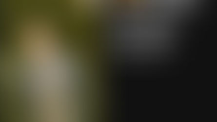 Màu vàng của Quân và những góc cạnh của "người kể chuyện" đám cưới