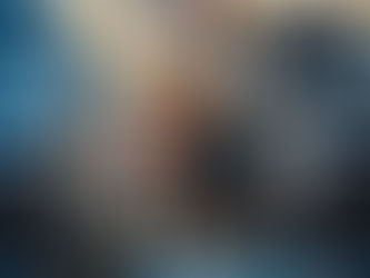 Projeto de lei permite viajar com cães e gatos na cabine de avião no Brasil