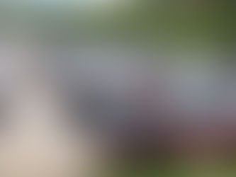 Caruaru reduz em 50% diárias de veículos apreendidos até 31 de outubro