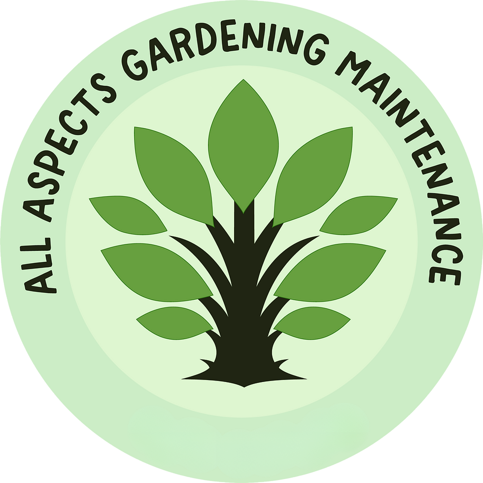 Untitled design (11)_edited.png