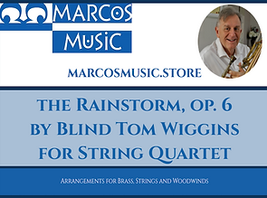 The Rainstorm-SQ-Website Thumbnail.png