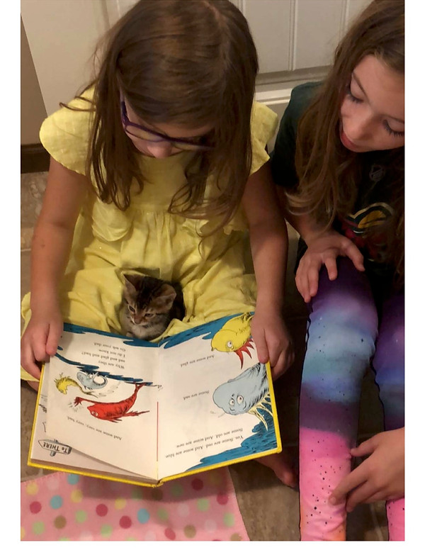 Sarah Panek Review.jpg