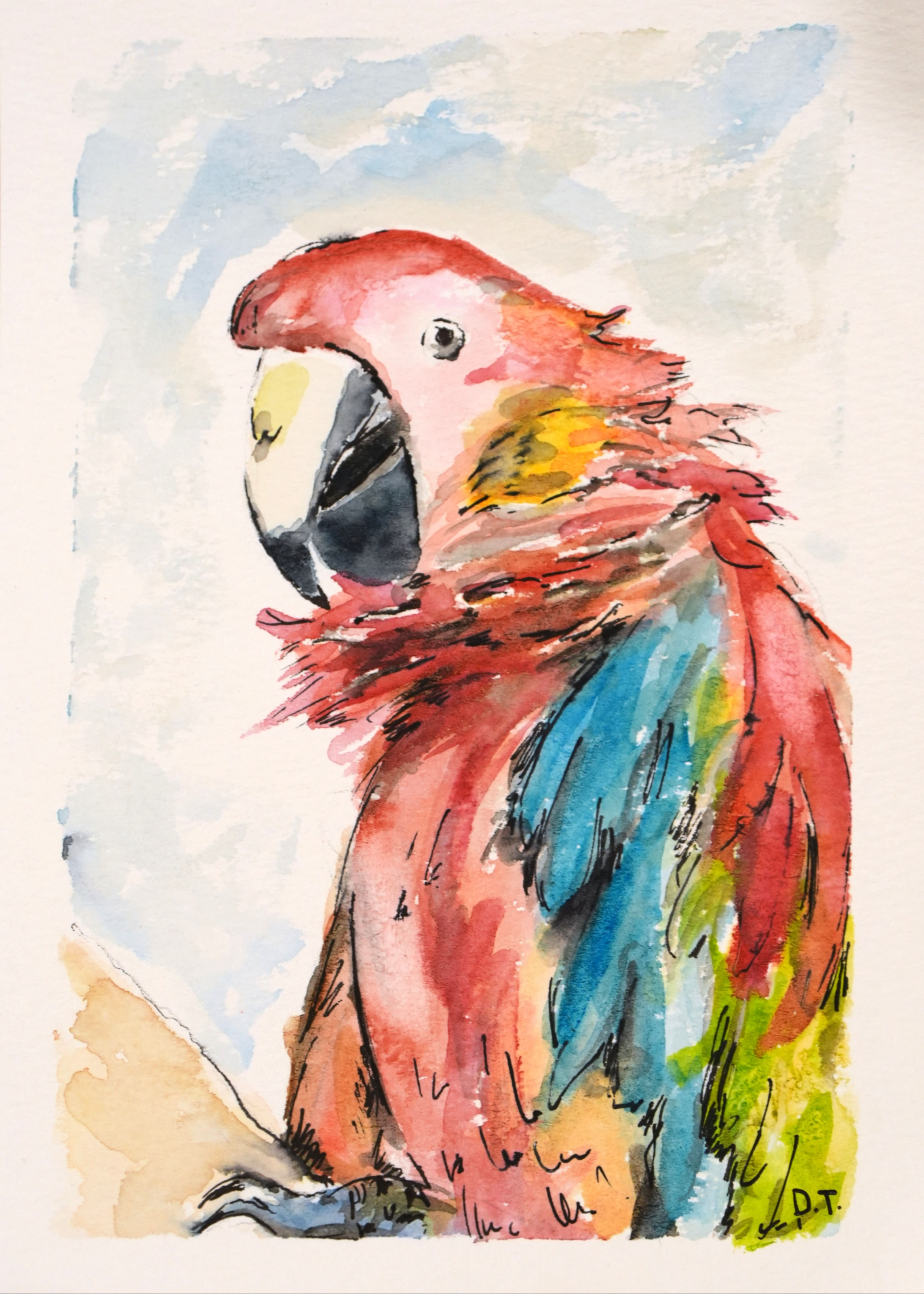 Parrot with Attitude