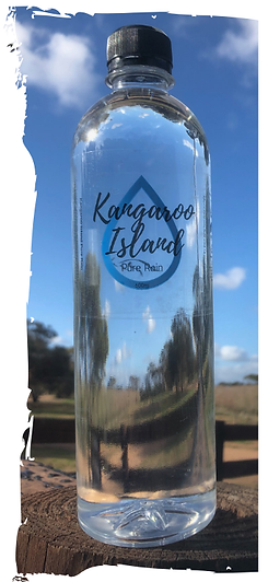 Bottle.png