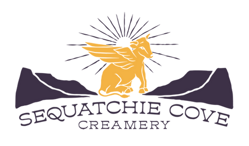 SCC_LOGO_SECONDARY_BICO-DARK.png
