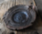 Thumbnail: Acorn Cheese Plate 02