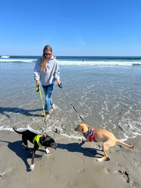 Beach Adventure