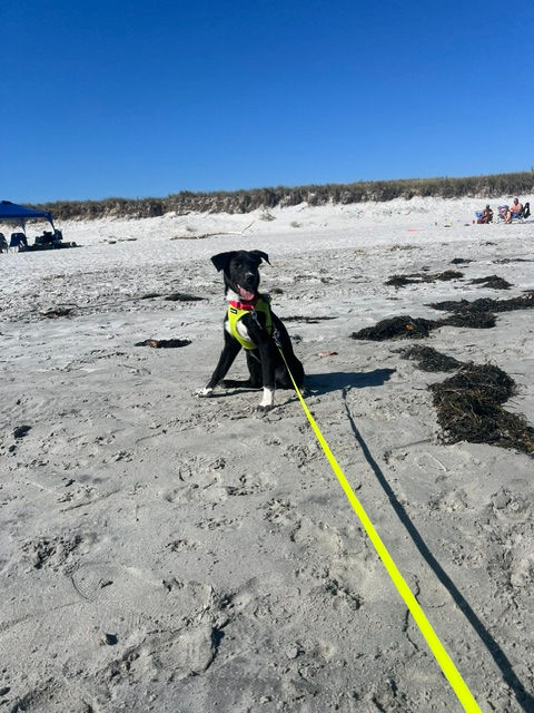 First Beach Day