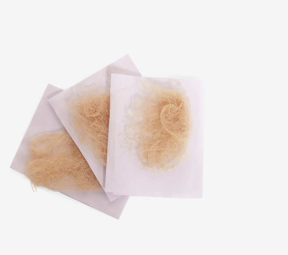 Thumbnail: CAPEZIO HAIR NETS - Pack of 3