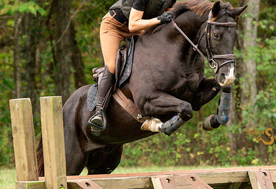 _VEC0916_edited.jpg