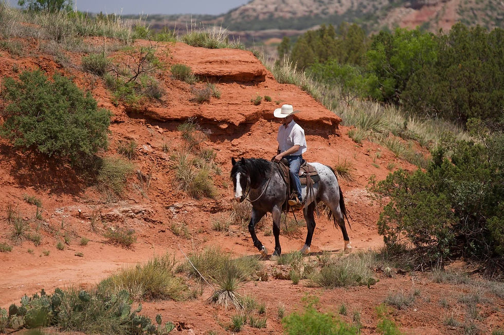 3ab9a5ce135299d8a2ba8f9995f3aa86