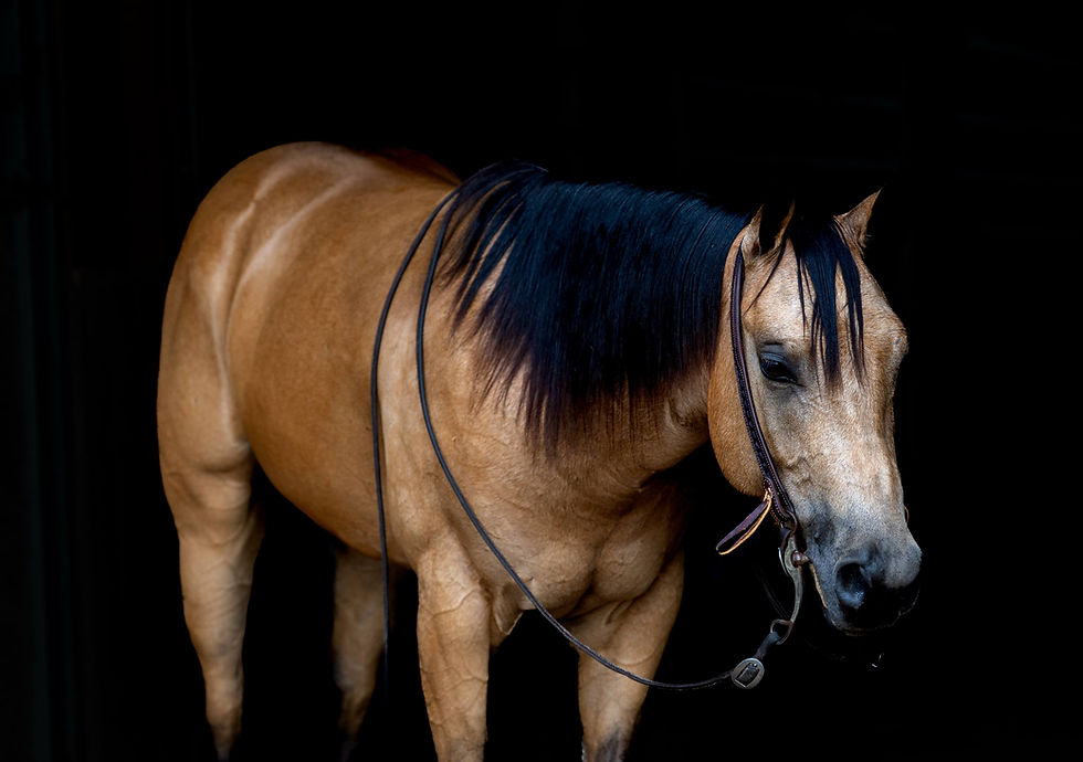 att.IRYnscXxylQuZ1Wi-fbvfqBoxODvNbv0_2K6mOfwyCA