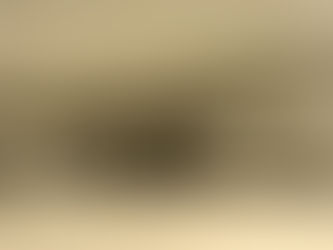 The Whales of the Azores: A Tale of Giants and Human Ingenuity