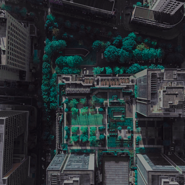 ESG in 5 Sustainability News - 25-08-2026