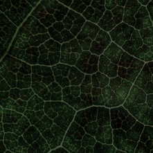 ESG in 5 Sustainability News - 02-12-2025