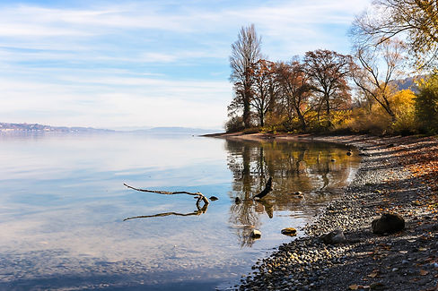 charcoal278-lake-constance-4421589_1920.jpg