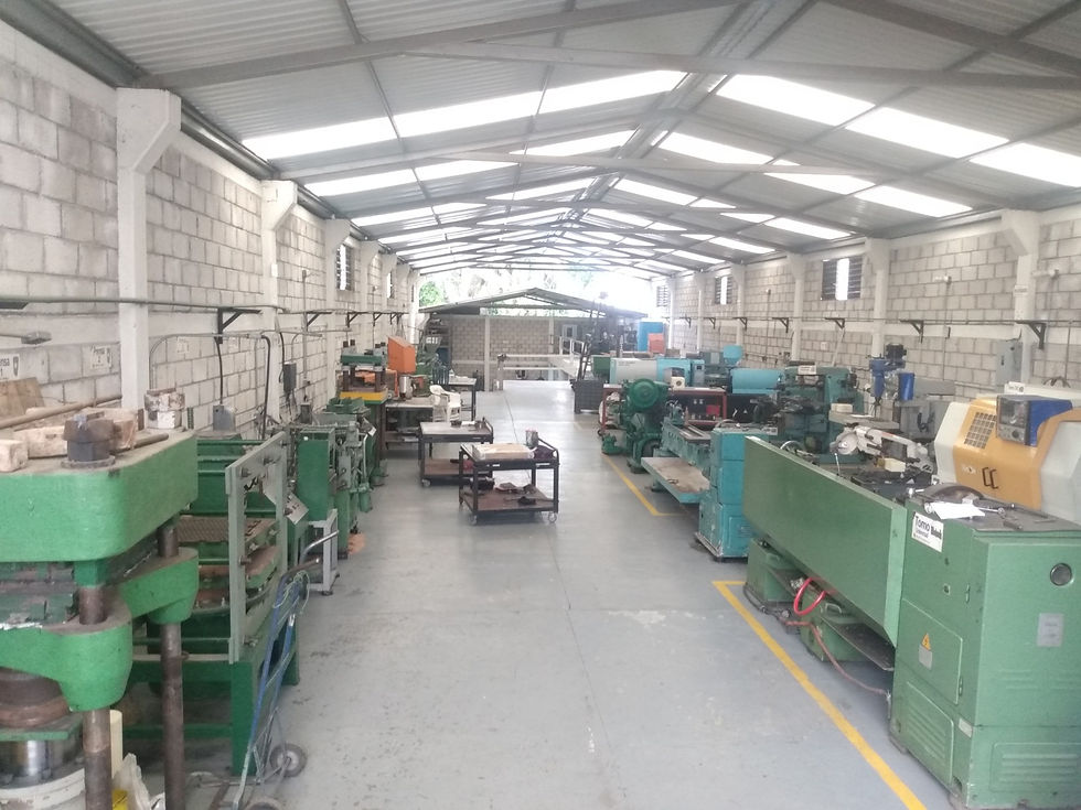 IMG_20210129_153821459 (1)