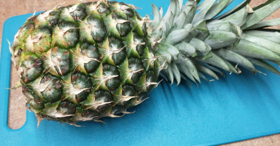 #ZeroWasteChallenge - day 9 -Tepache!