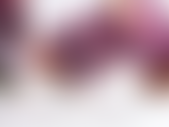 Form, Function, and… Flavor?: Four Designers Who Took Their Architecture Skills to the Kitchen