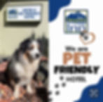Pet-Friendly Airport Inn-Port Hardy