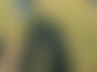 いつもご無沙汰な私🤗