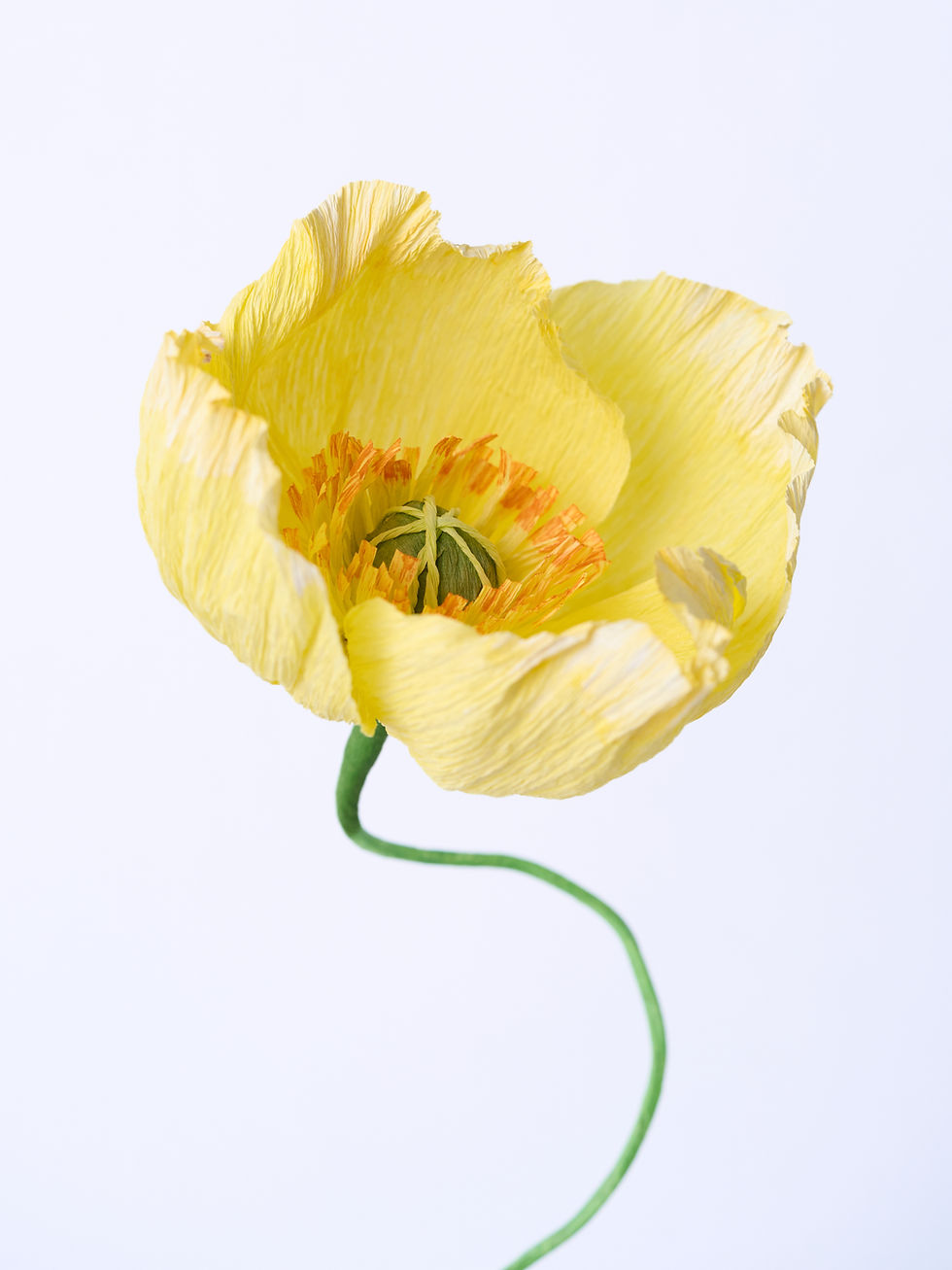 Thumbnail: Paper Poppy Flowers