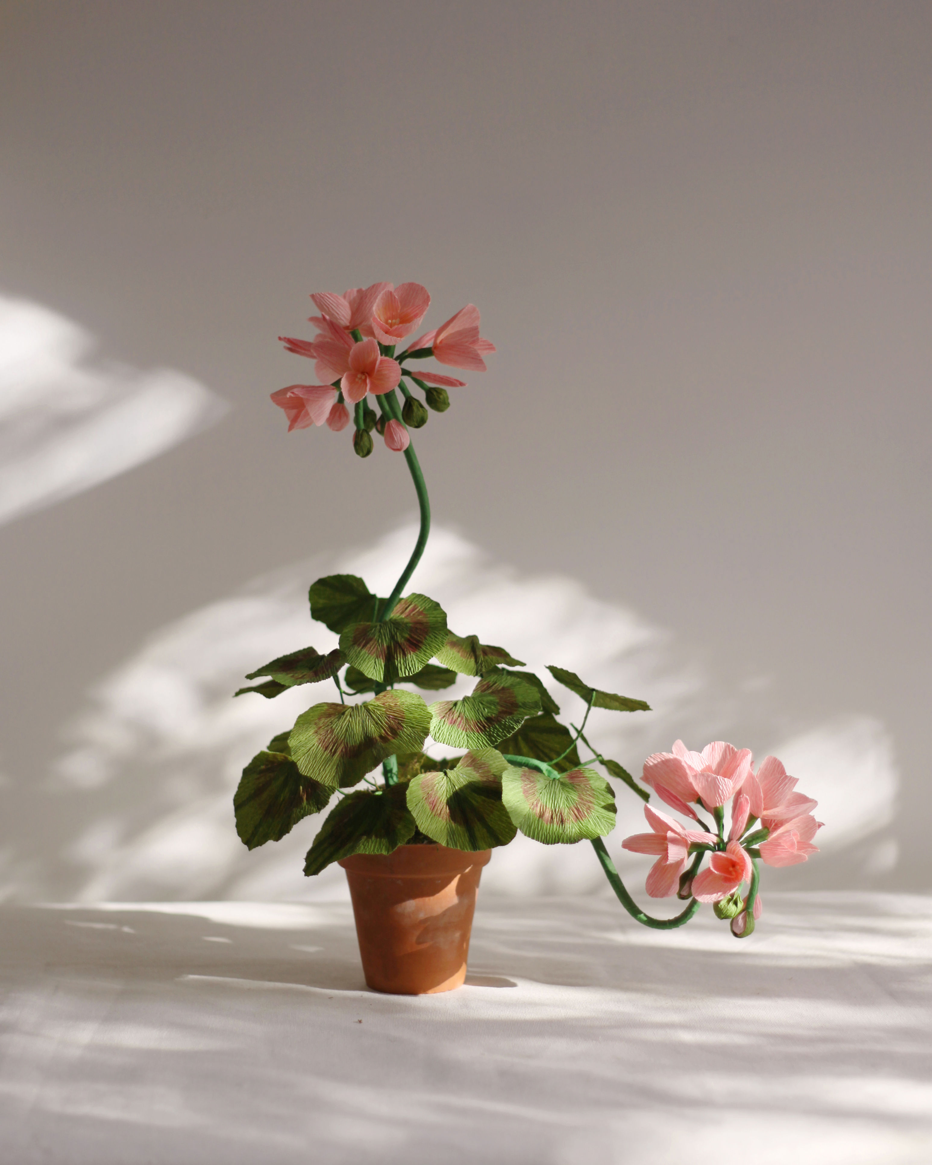 Small Pink Paper Geranium