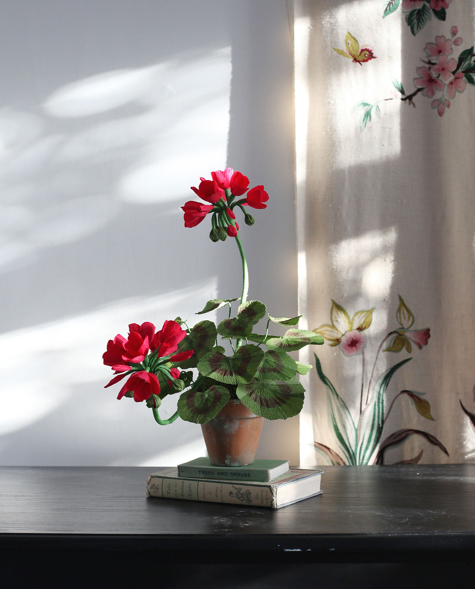 Thumbnail: Crimson Paper Flower Geranium