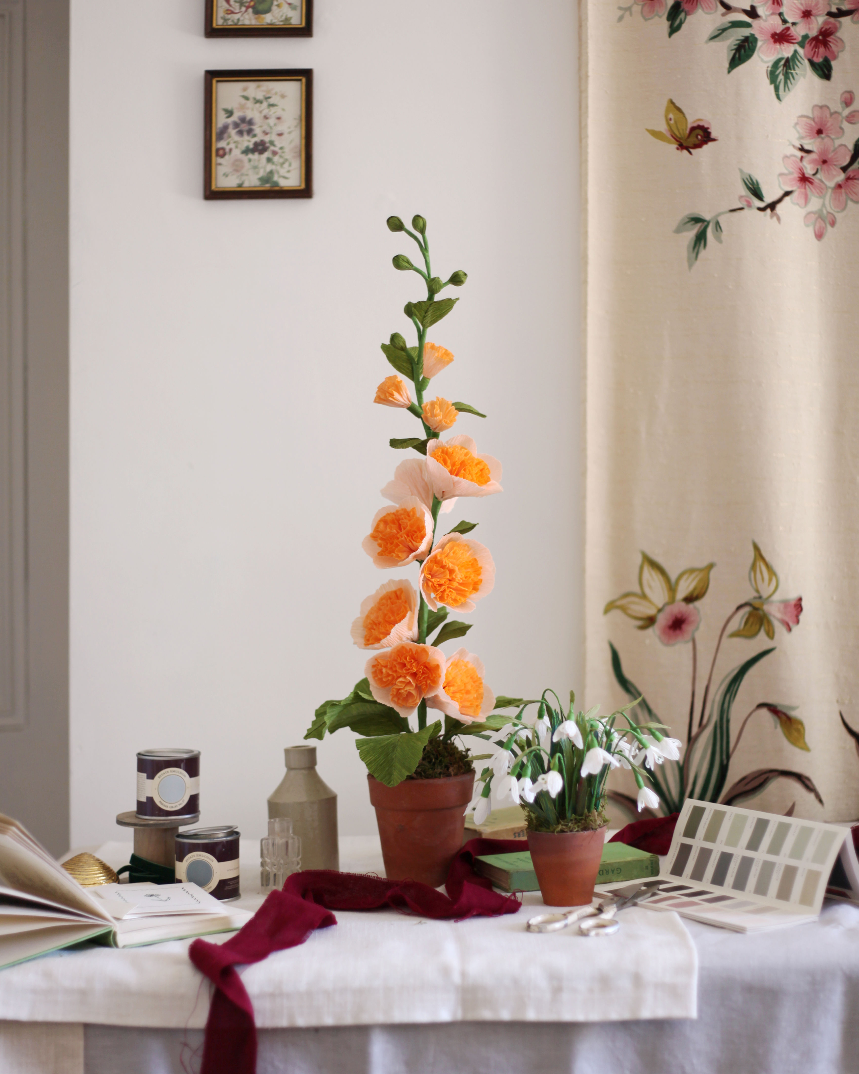 Double Hollyhock Paper Plant
