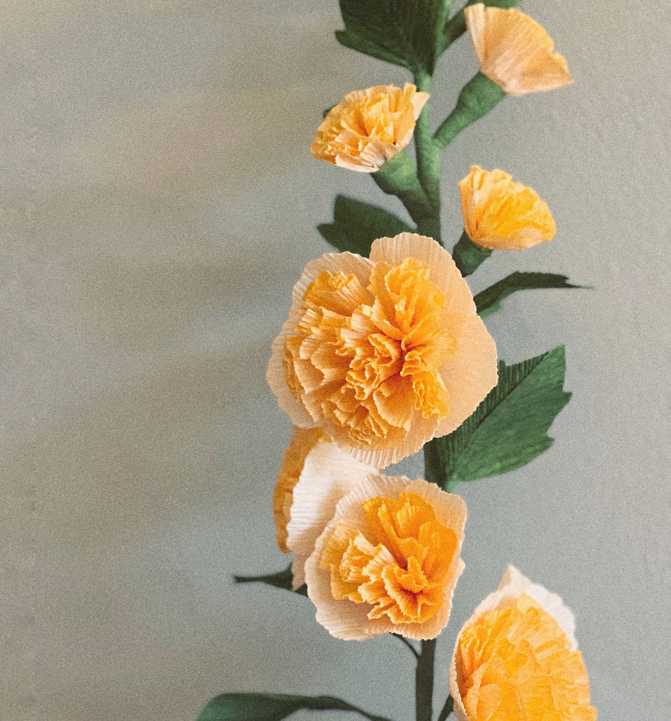 Thumbnail: Double Hollyhock Paper Plant